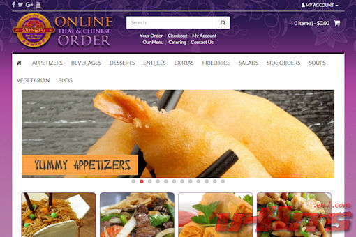Website preview for: Kung Fu Plaza