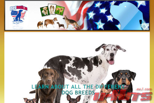 Dognation thumbnail