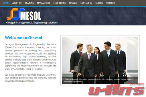 Website preview for: Omesol