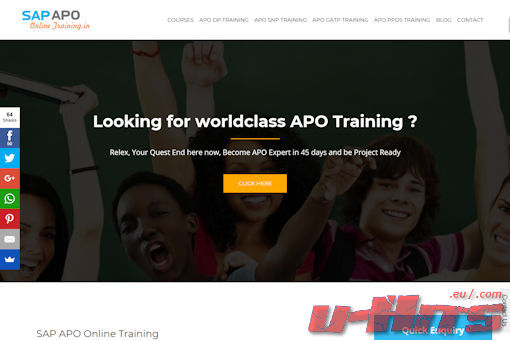 Website preview for: SAP APO Online Training IN