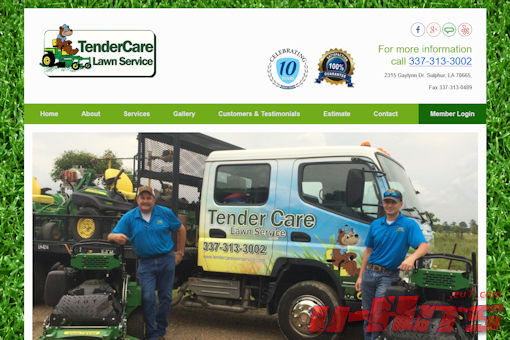 Website preview for: Tender Care Lawn Service
