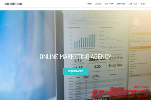 Website preview for: Wiserbrand