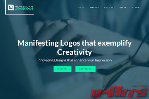 Website preview for: Professional Logo Designers