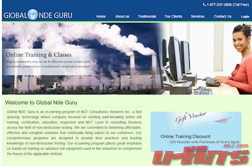 Website preview for: Global NDE Guru