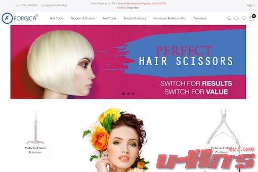 Website preview for: Forgica