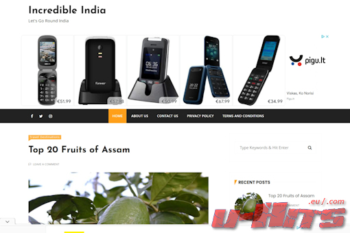 Website preview for: Incredible India Net